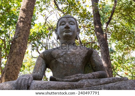 Buddhist statue sitting under the shade of the tree