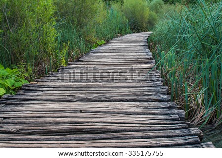 Wooden bridge footpath over a small lake with bulrush in The Plitvice Lakes National Park in Croatia
