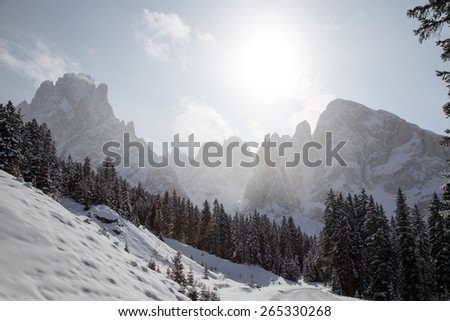 Winter landscape with road / \
Winter landscape on Monte Pana, South Tyrol, Italy.