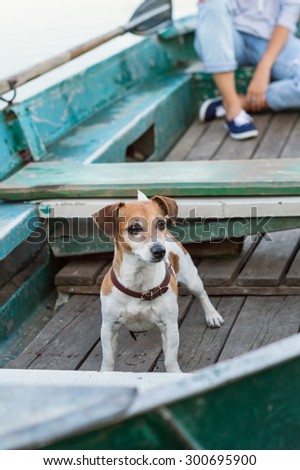 Jack Russel terrier dog in a wooden boat with a host sailing on the lake