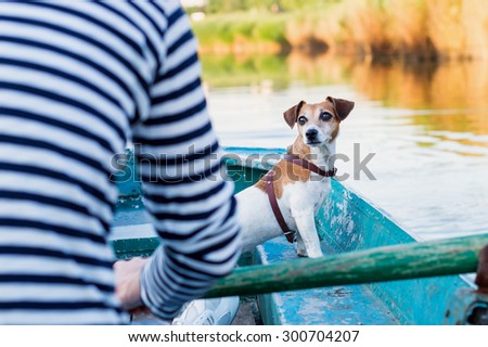 Jack Russel terrier dog in a wooden boat faithfully look to his