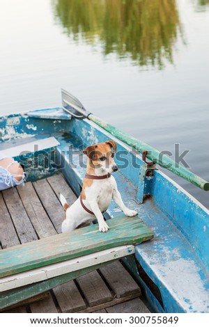 dog Jack Russel terrier in a wooden boat sailing on the lake