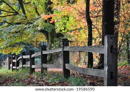Old fence with fall trees in the background.