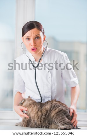 Veterinarian calming a cat at clinic. Cat looking scared and trying to hide itself and doctor is empathizing to animal