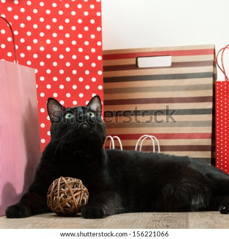 Big black cat laying among shopping bags