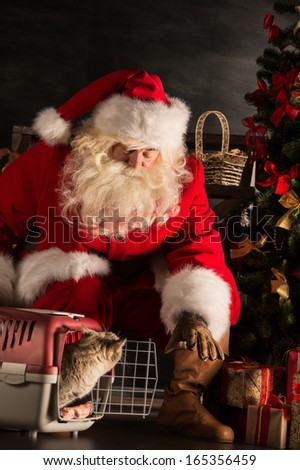 Santa Claus making a most wanted gift to a child - he gives tabby cat to new owners. Santa placing cute cat near Christmas tree