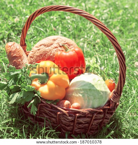A harvest of season vegetables and bread in a wicker basket on green grass at garden. Retro filtered photo