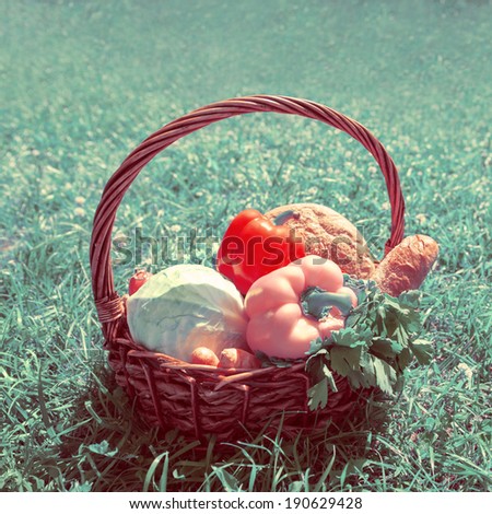 Organic food background. Vegetables in the basket on green grass outdoor. Retro filtered photo