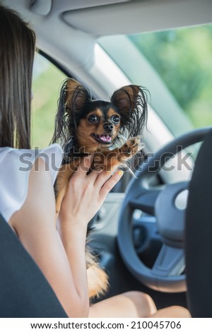 Woman and dog in car on summer travel. Funny dog traveling. Vacation with pet concept.