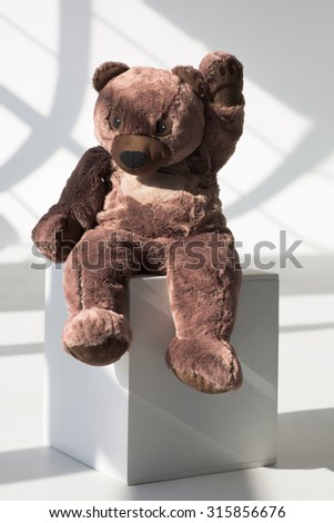 Teddy Bear Posing on White Cube at Studio