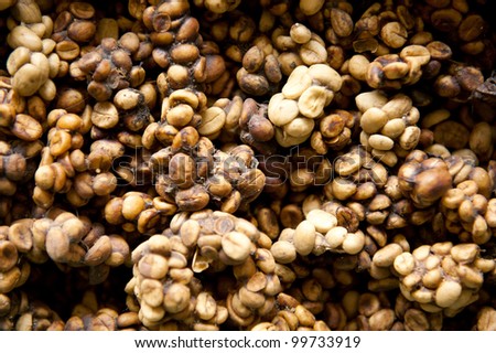 Espresso Kopi on Stock Photo   Kopi Luwak Or Civet Coffee  Is One Of The World S Most