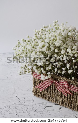 Flowers in a basket. White tiny gypsophila flowers. Gyp, Baby breath