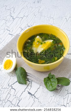 Traditional Spinach soup with egg and fresh spinach leaf on top