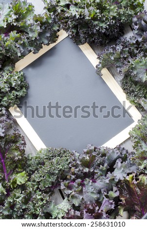 Black chalkboard with organic red kale. Copy space.