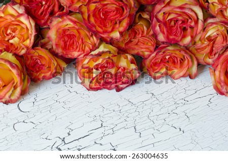 yellow red natural roses background with copy space