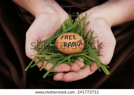 Free Range egg in hands on grass
