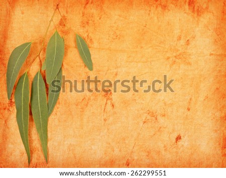 Gum Leaf Background