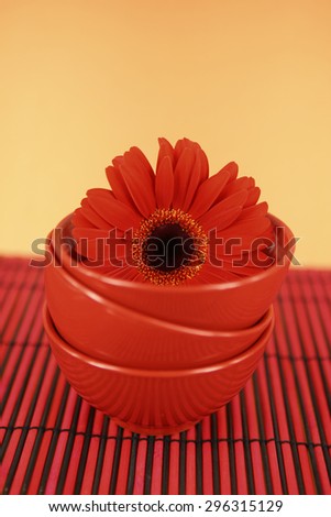 Red flower in bowls