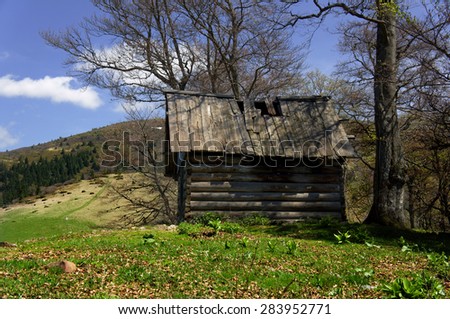 old wooden hut cabin in mountain alps at rural fall landscape