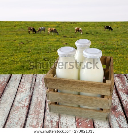 milk in a box on wooden table overlooking a meadow with grazing cows.