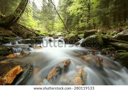 Forest stream in the valley flowing from the mountains.