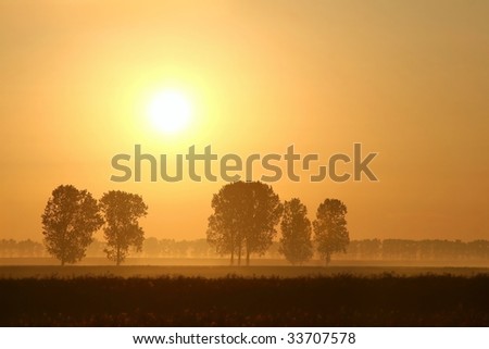 Sunrise over the field with trees surrounded by mist. Photo taken in June.