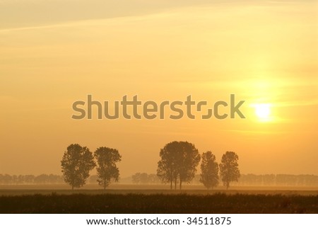 Sunrise over the field with trees surrounded by mist. Photo taken in June.