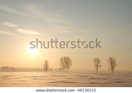 Picturesque winter sunrise over the field covered with snow.