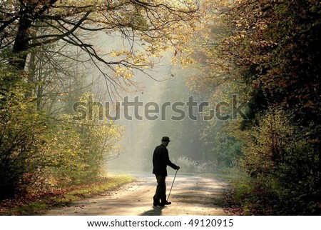 Older man through the country road in autumn forest in the light of the rising sun.