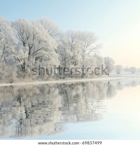 Frosty winter trees against a blue sky with reflection in water.