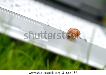 Snail on a notebook on a green grass - Do not be slow, join the green IT now!