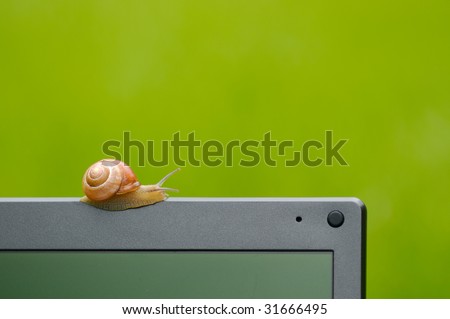 Snail on a notebook on a green grass - Do not be slow, join the green IT now!
