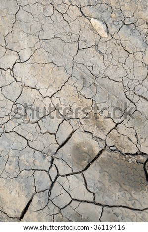 Dry mud as a background