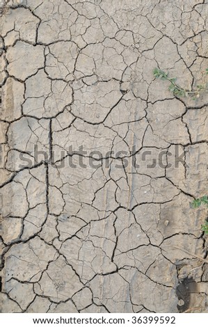 Dry mud as a background