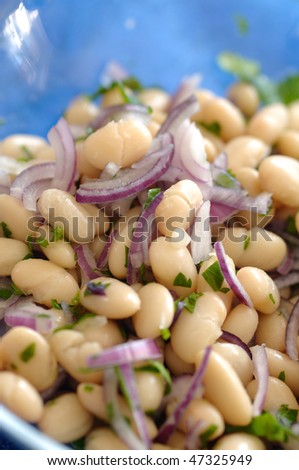 Traditional bulgarian salad made of beans, onion, parsley, salt, vinegar and sunflower oil