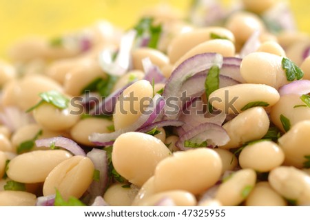 Traditional bulgarian salad made of beans, onion, parsley, salt, vinegar and sunflower oil