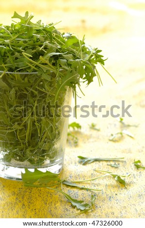 Fresh green rocket salad leaves