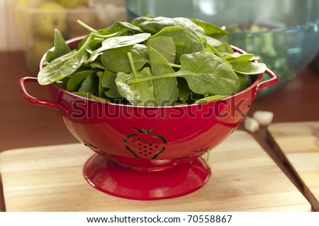 Fresh spinach leaves for a salad during draining in a red strainer