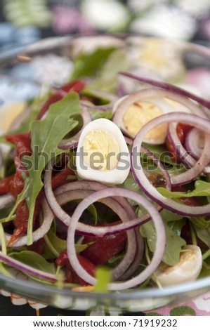 Fresh vegetarian spring salad made of marinated pepper, onion, egg, rocket salad