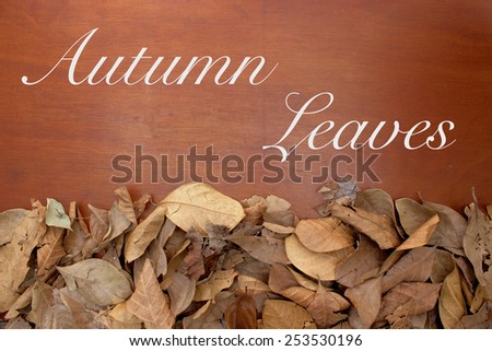 Autumn Leaves, Fall Background. Cherry Wood and Leaves.