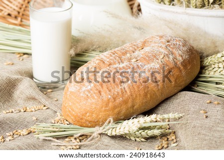 Close-up of freshly backed white bread with glass of milk and ears of wheat on rustic background