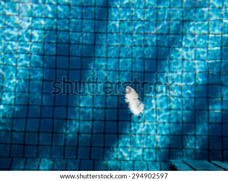 Minimalist picture of white feather bird floating blue ripped water in swimming pool with ceramic tile mosaic in background