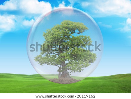 Preservation of a growth of tree in front of a green field
