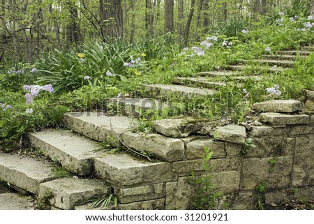 Stone Stairway And Wall Lined With Flowering Phlox On A Shady ...