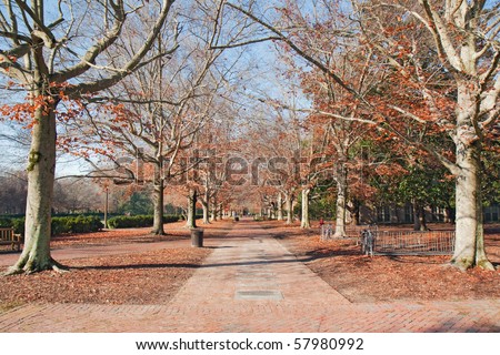 Brick walkway on the campus of the College of William and Mary in Virginia during autumn