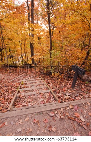 Yellow fall foliage along a hiking path with sign vertical