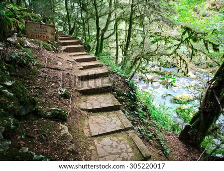 Stone stairs in the jungle\
***There is a warning note in the left top corner: \
