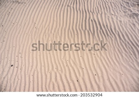 Sand texture. Dunes on Baltic beach in Ustka, Poland. Natural textured background.