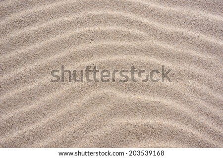 Sand texture. Sand of dunes on Baltic beach in Ustka, Poland. Natural textured backdrop.