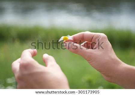 Girl\'s hand taking a flower